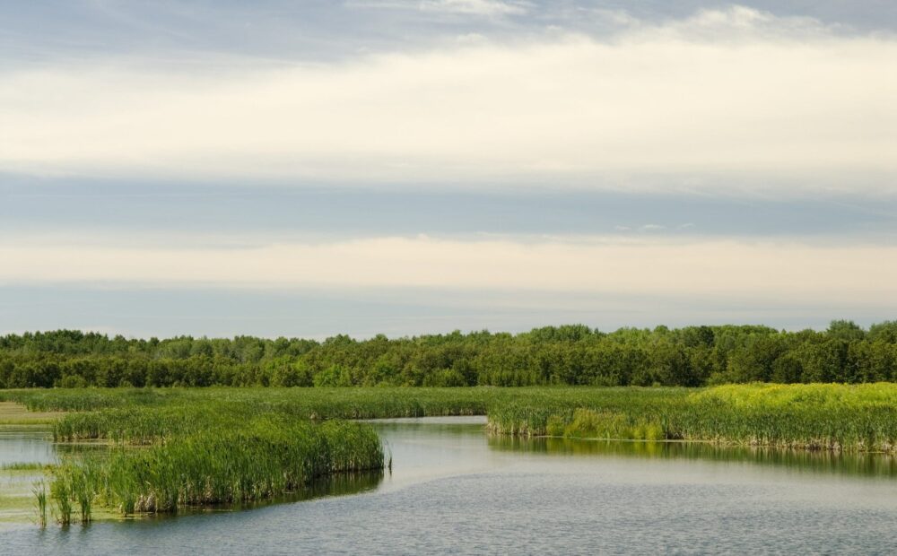 Hilliardton Marsh Provincial Wildlife Area