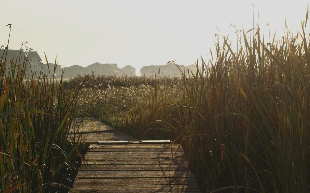 McKell Wascana Conservation Park