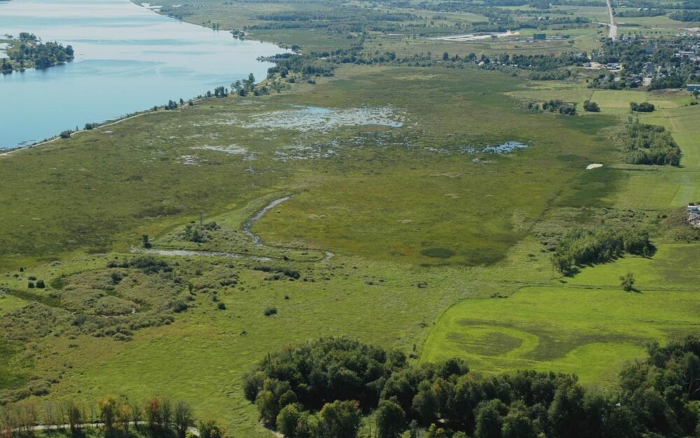 Thurso Marsh