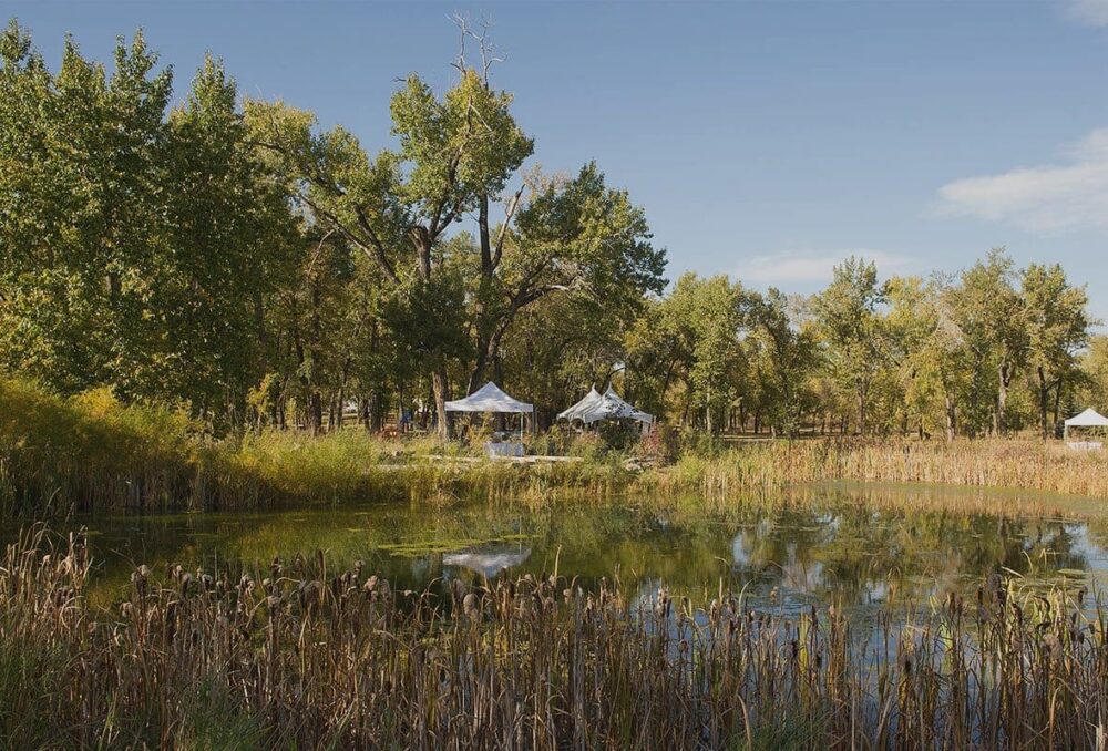 DUC wetland at Bow Habitat Station, Calgary, Alta.