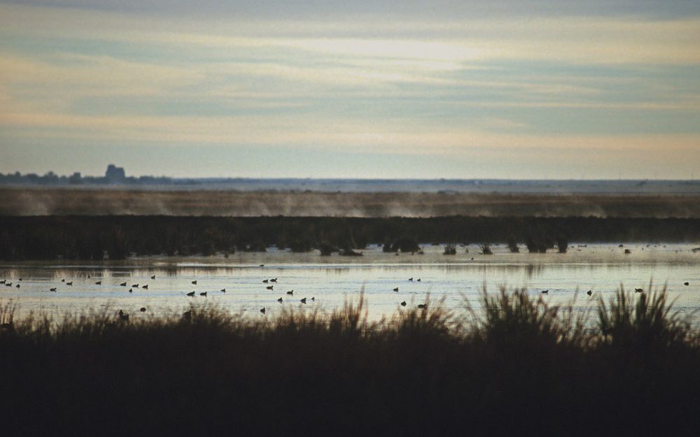 Frank lake