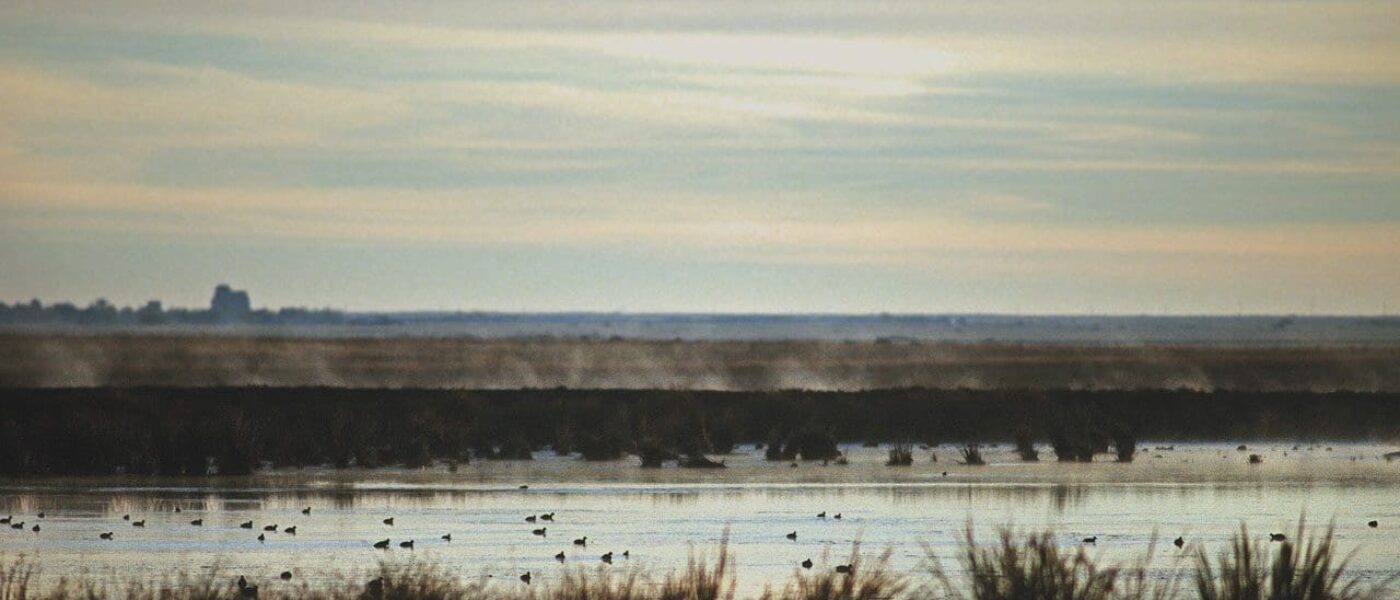 Observe nature and learn about wetlands at a DUC project or wetland interpretive centre.