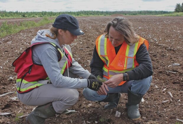 Researching peatlands for restoration