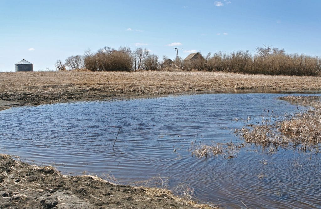 DUC restored 34 wetlands on the Tufts Project. © Karli Reimer