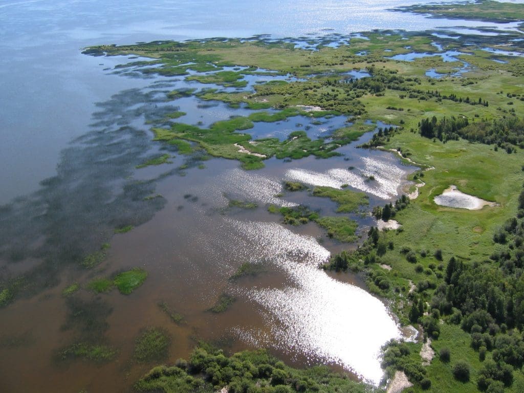 Freshwater coastal wetlands at Lake Winnipegosis Salt Flats Ecological Reserve. © DUC