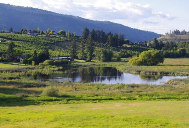 New wetlands added to Marsh Lake project