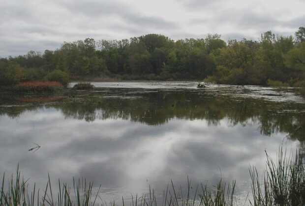 Community celebrates restoration of local wetland gem