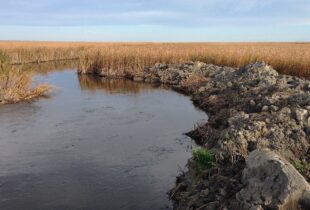 Illegal drainage threatens iconic Big Grass Marsh in Manitoba