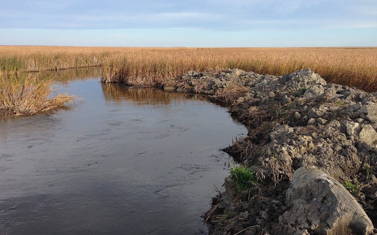 Illegal drainage threatens iconic Big Grass Marsh in Manitoba