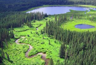 NWT residents link conservation to prosperity before heading to the polls