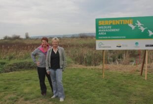Years of wetland walks inspire help for Serpentine
