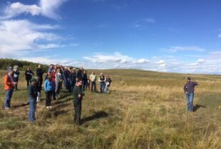 Restoring habitat in grazing country