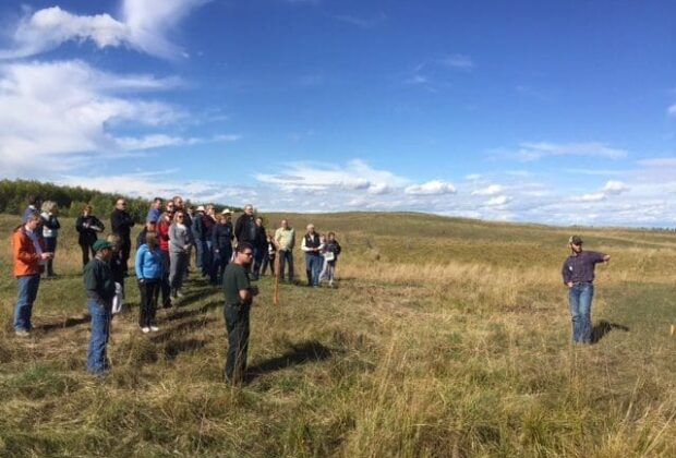 Restoring habitat in grazing country