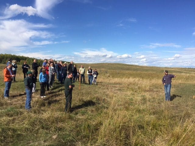 Restoring habitat in grazing country