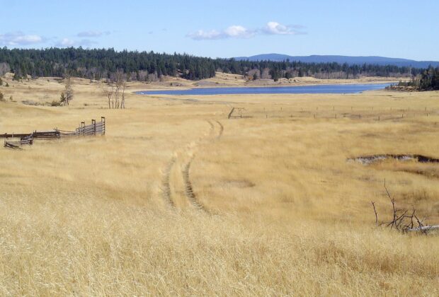 Agricultural Land Acquisition