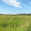 Revolving Land Conservation Program