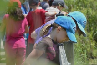 Outdoor learning for more Ontario students