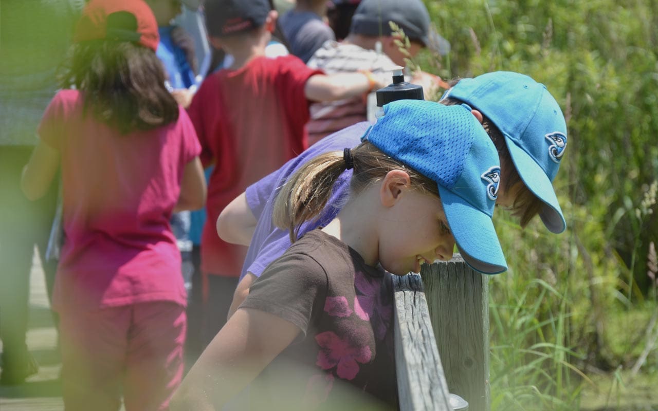 Outdoor learning for more Ontario students