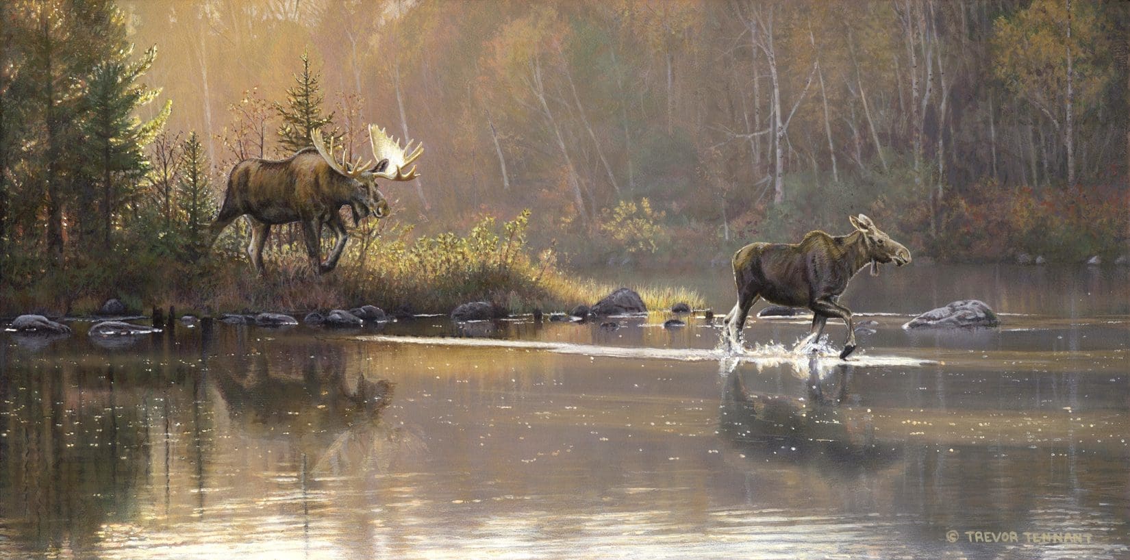 Canadian artists help paint a positive future for conservation