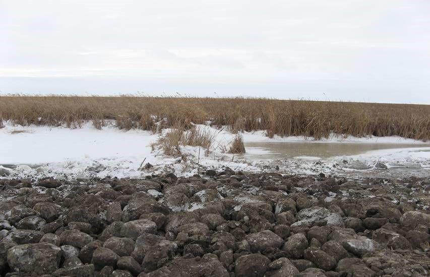 Big Grass Marsh