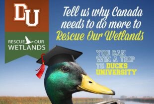 Win a trip to Ducks University
