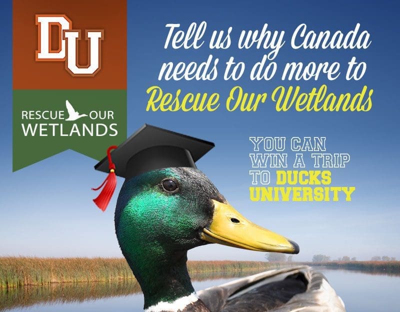 Win a trip to Ducks University