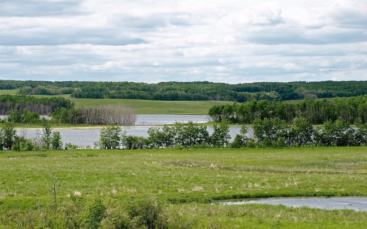 Vote for wetlands: make your voice heard