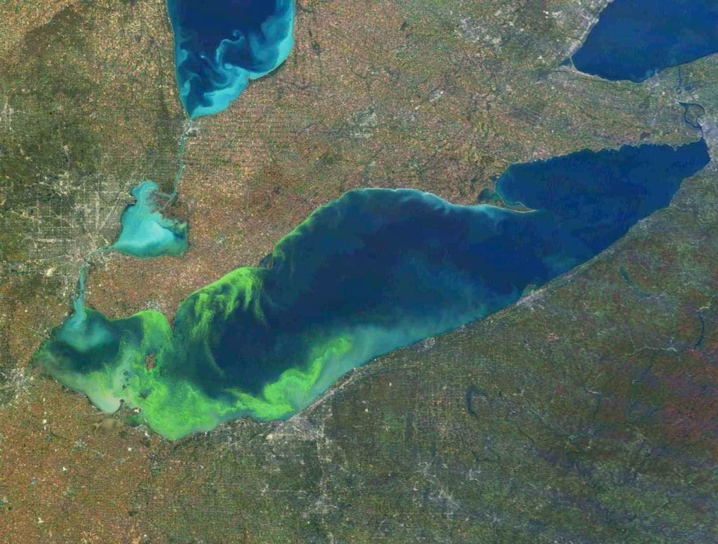 Great Lakes algae blooms