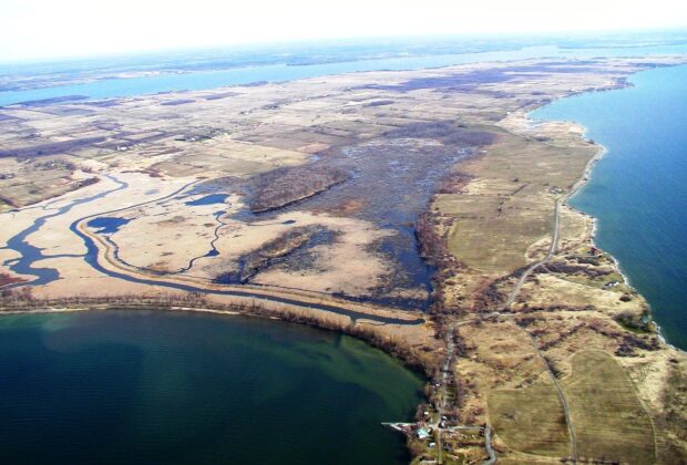 Helping habitat on Amherst Island