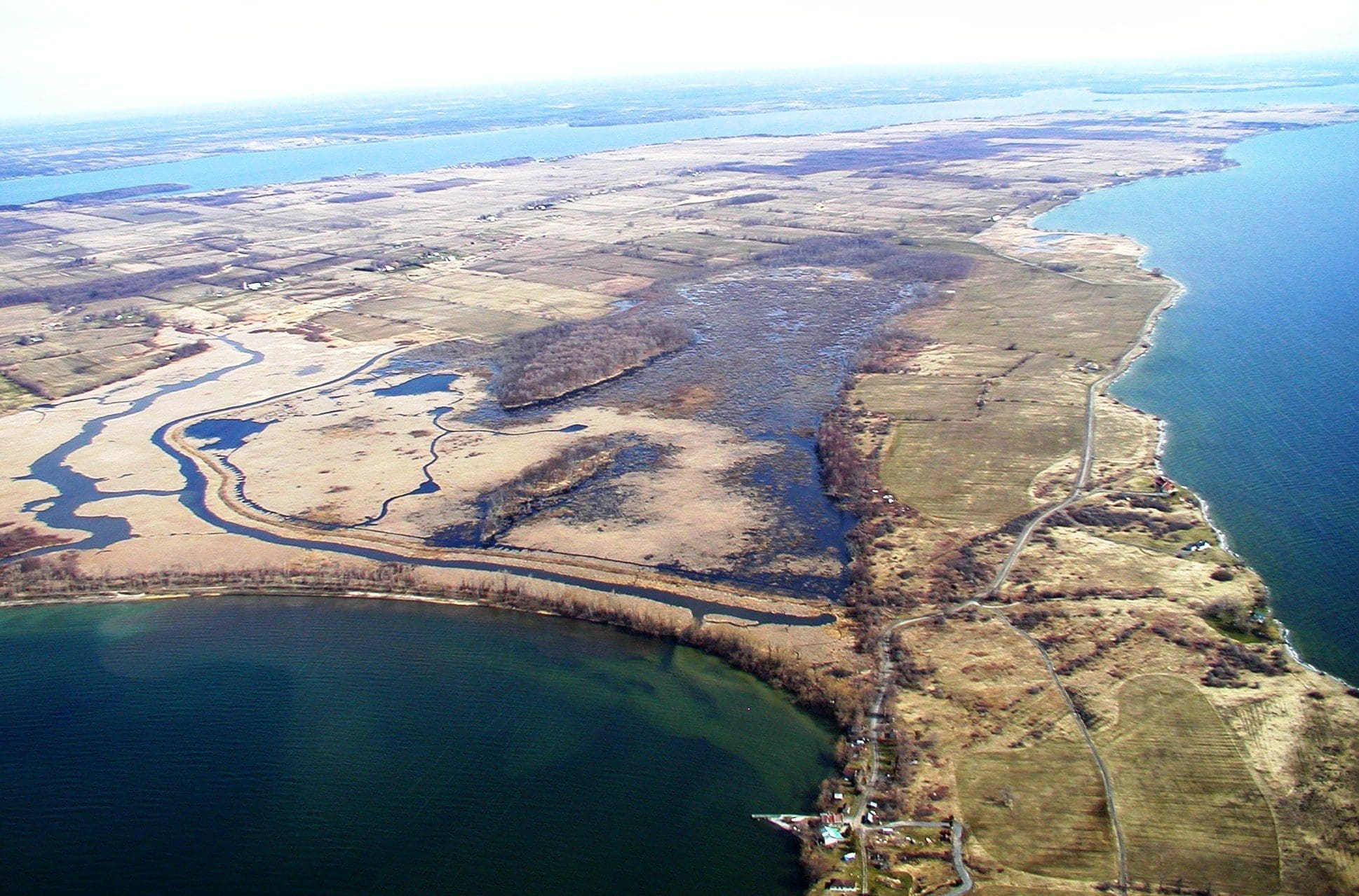 Helping habitat on Amherst Island