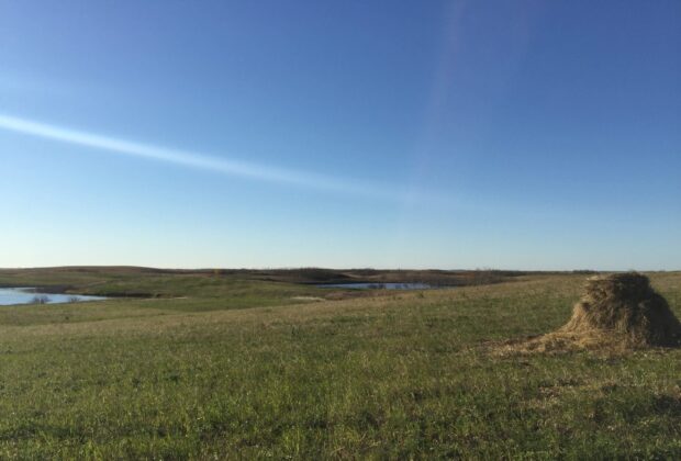 Cattle farmers protect land in Allan Hills