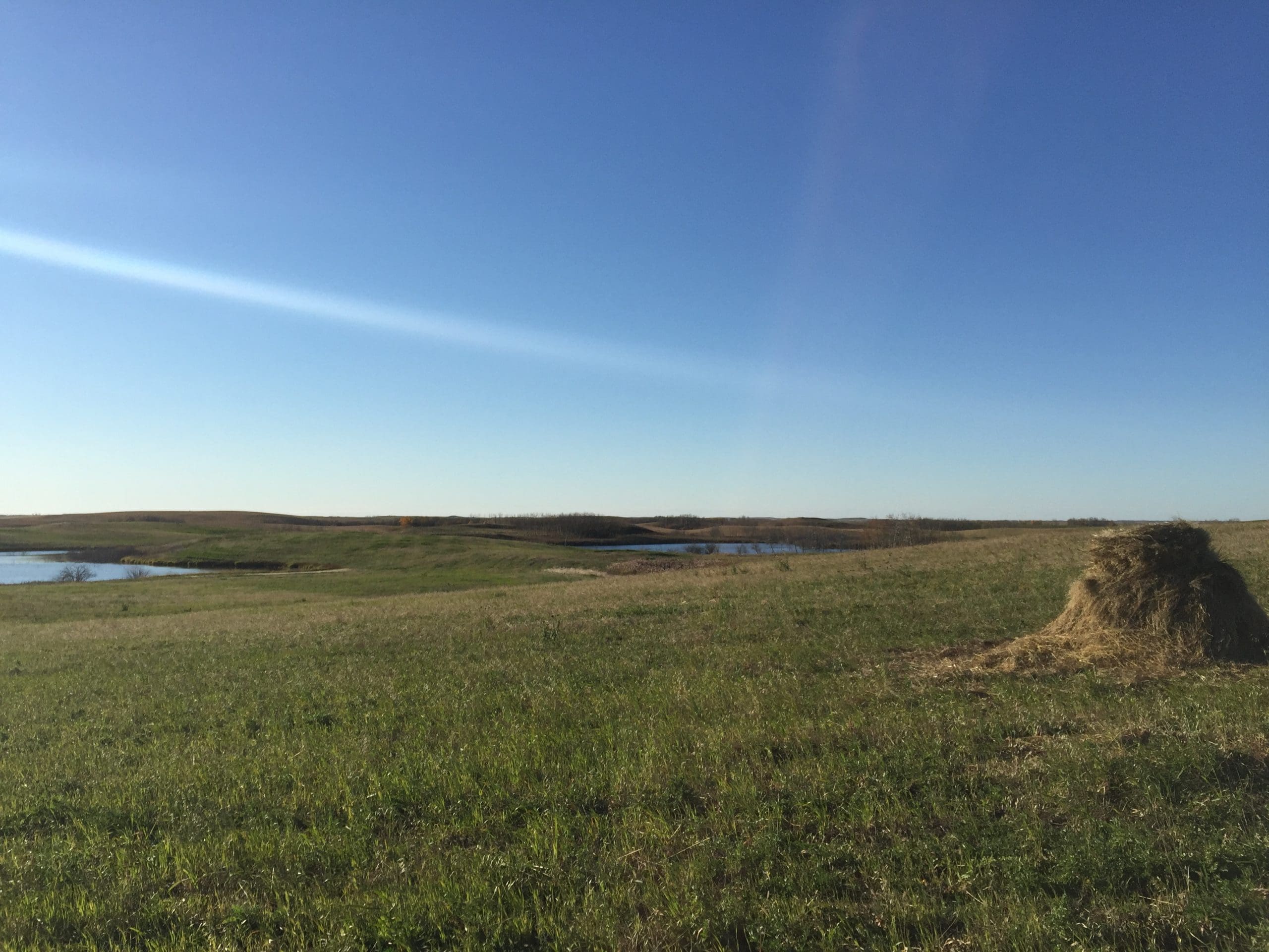 Cattle farmers protect land in Allan Hills