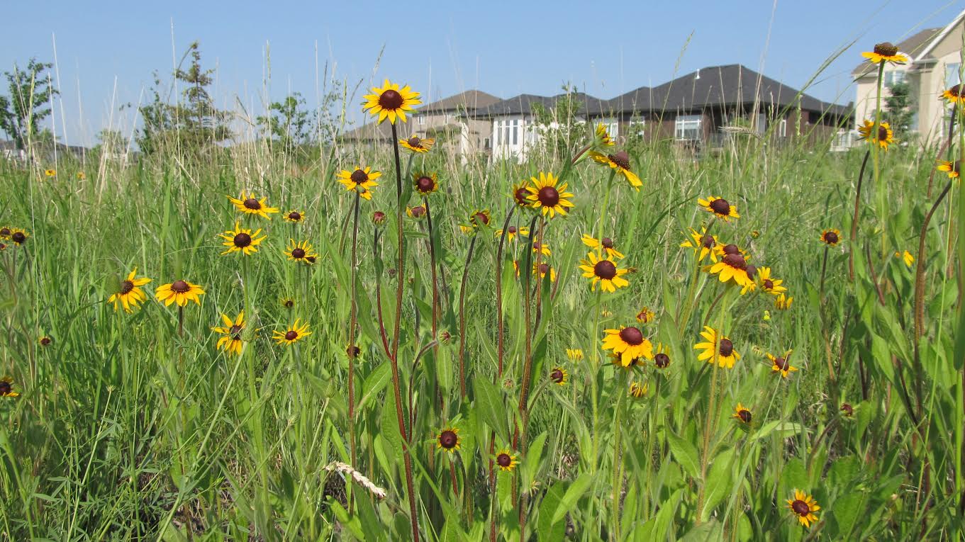 Why gardeners should read-up before digging in