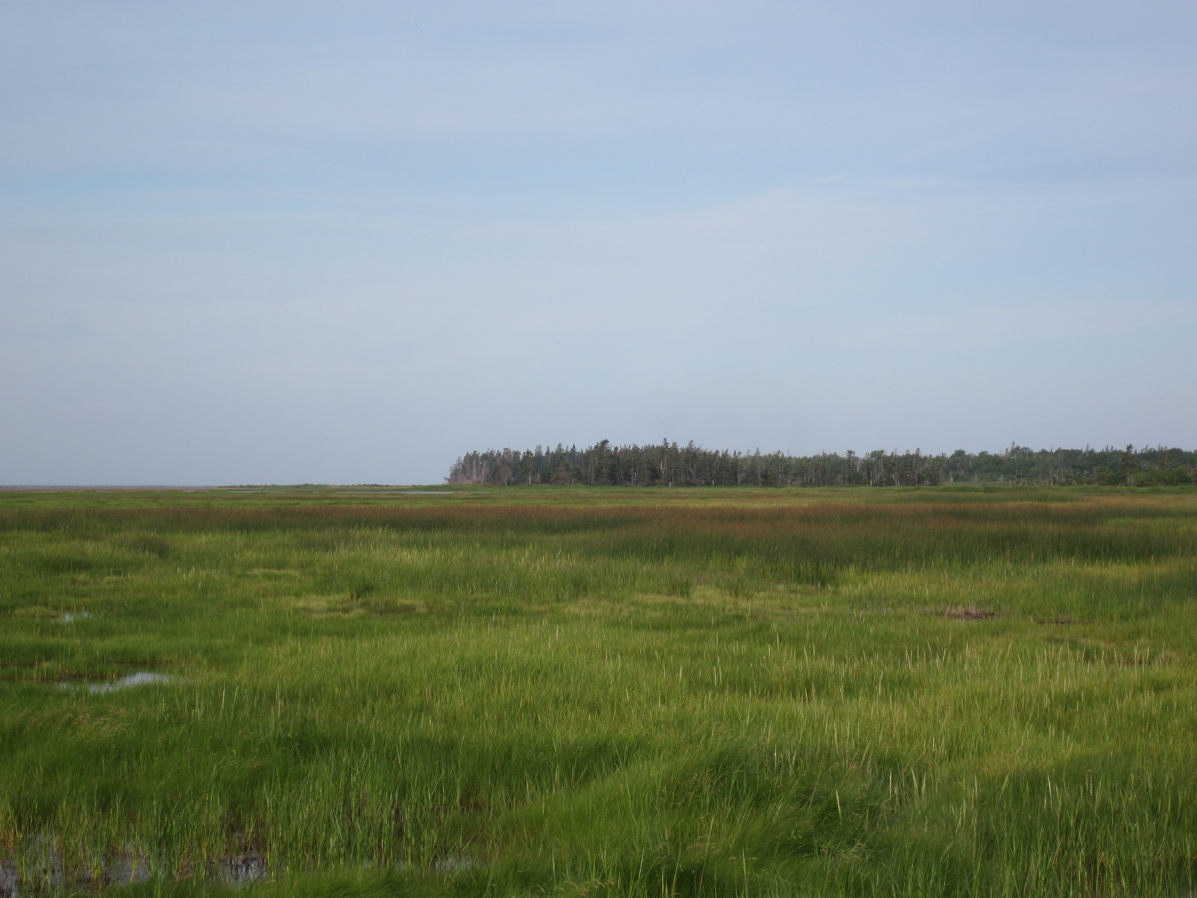 Coastal conservation