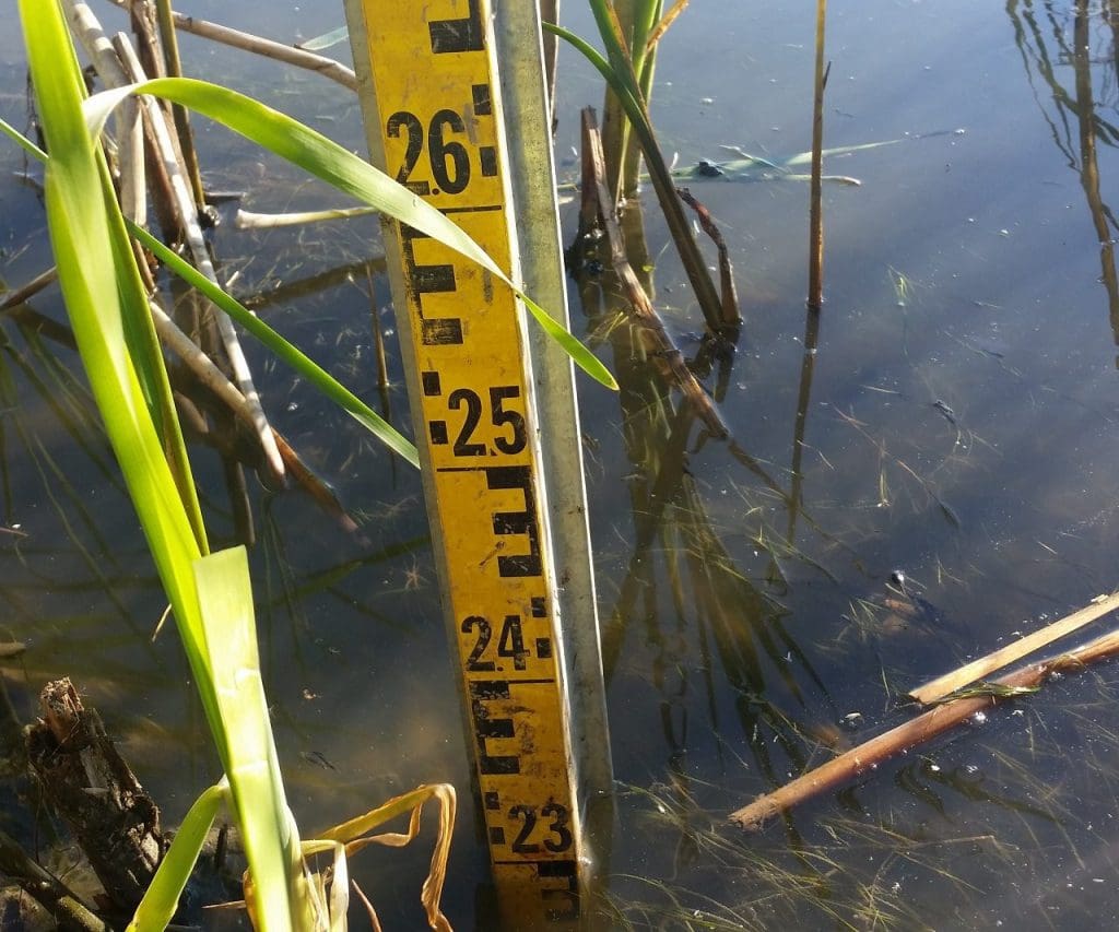 After four weeks of pumping, the water level at Oshawa Second Marsh is down approximately 22 inches (56 centimetres) from where it began. It’s a gradual process, but so far the weather has been good and the new pumping system is working well. © DUC