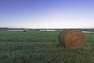 Saskatchewan Hay and Grazing Tenders