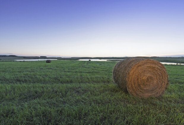 Saskatchewan Hay and Grazing Tenders