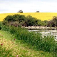 Grassland resources for educators and students 