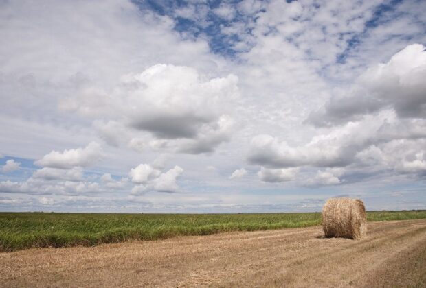 Hay for Tender: Manitoba