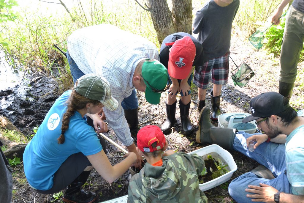 Wetland education field trip