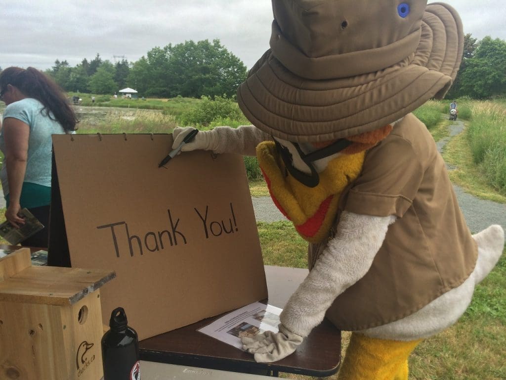 Nest boxes, thank you card