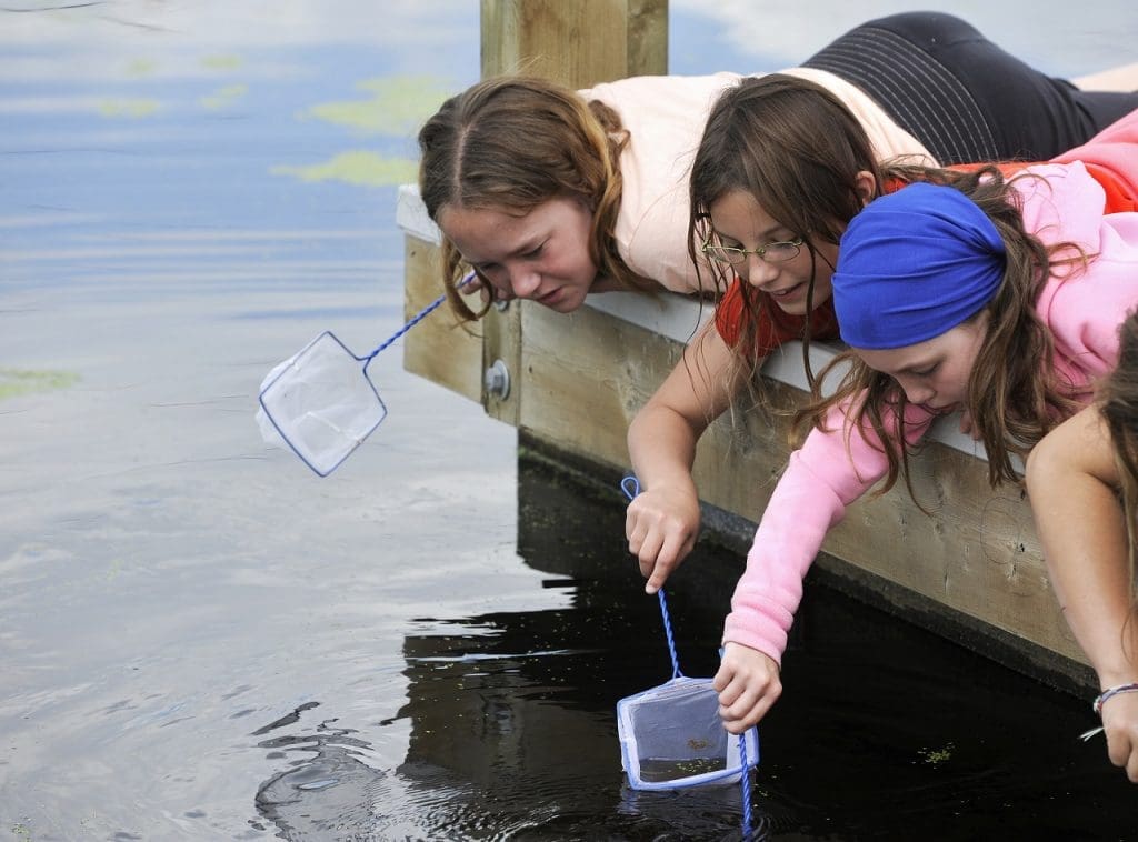 Students critter dipping at Wetland Discovery Days