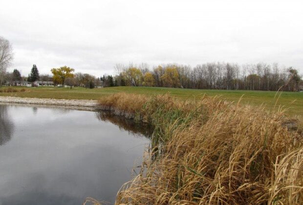 Links to wetlands