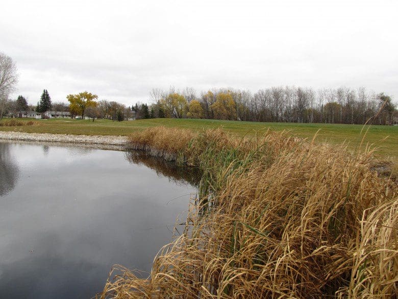 Links to wetlands