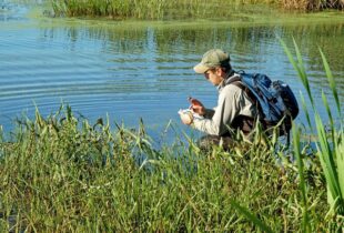 IWWR Fellowship: Abstracts for 2016 Students