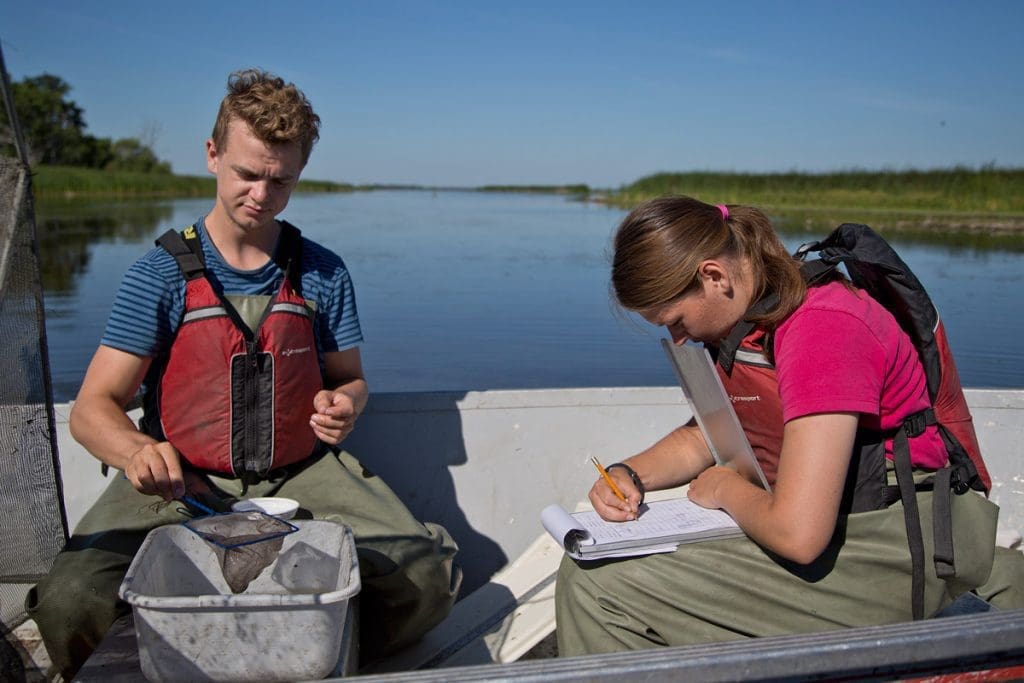 Research at Delta Marsh