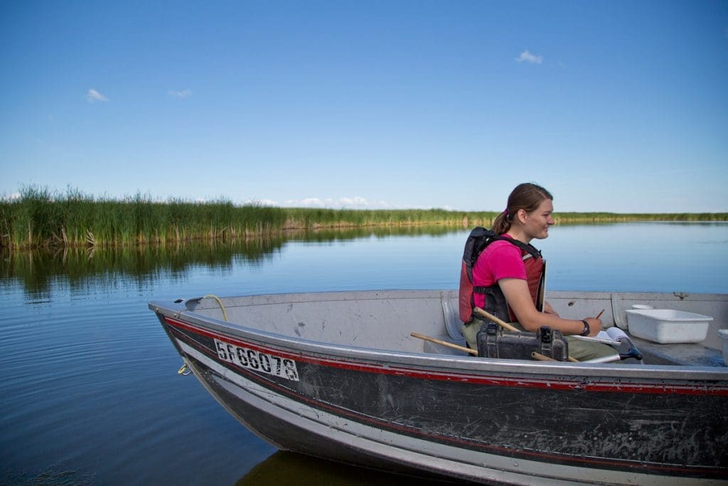 Research at Delta Marsh