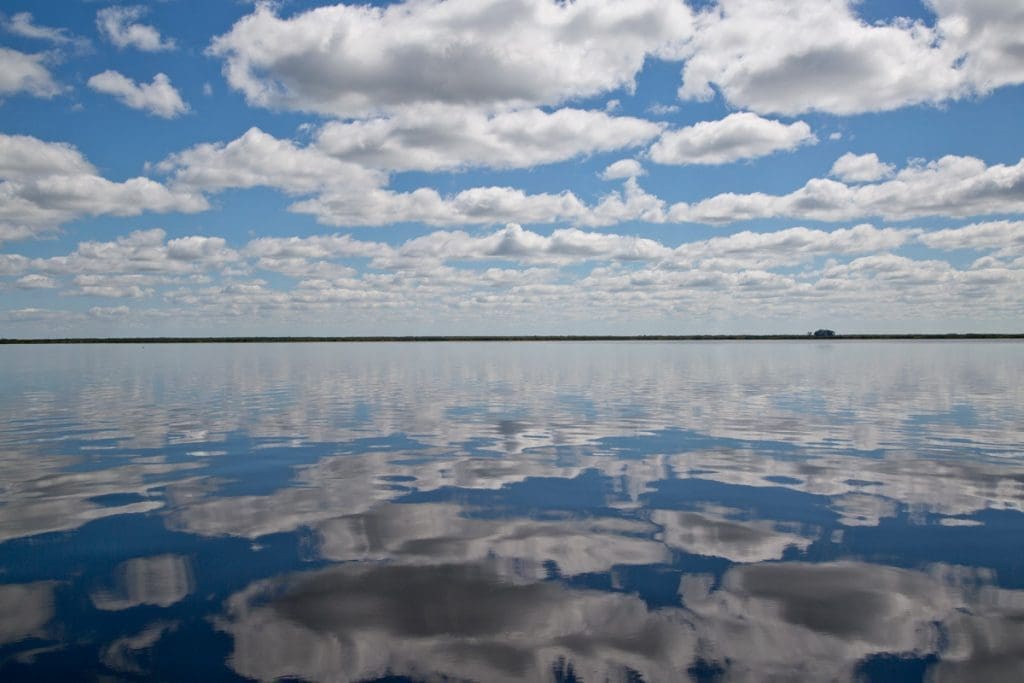 Research at Delta Marsh