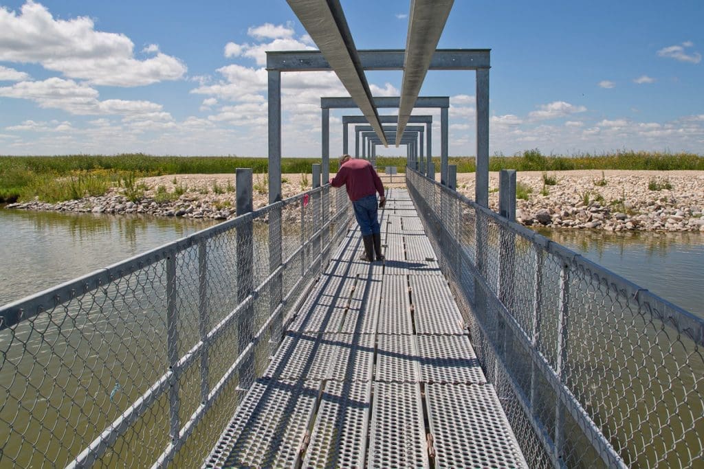 Research at Delta Marsh