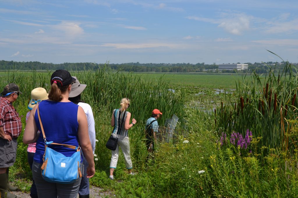 OPG volunteers headed into the marsh